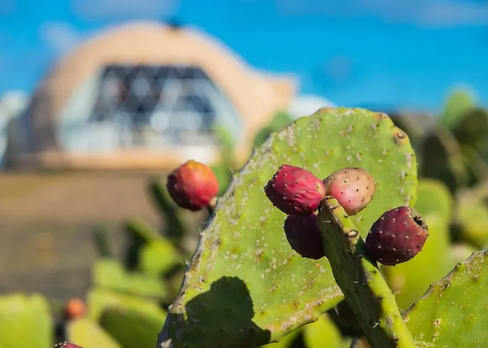Eslanzarote Luxurious Eco Dome Experience Parco vacanze