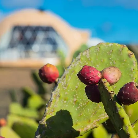 Eslanzarote Luxurious Eco Dome Experience Holiday park