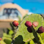 Eslanzarote Luxurious Eco Dome Experience 假日公园